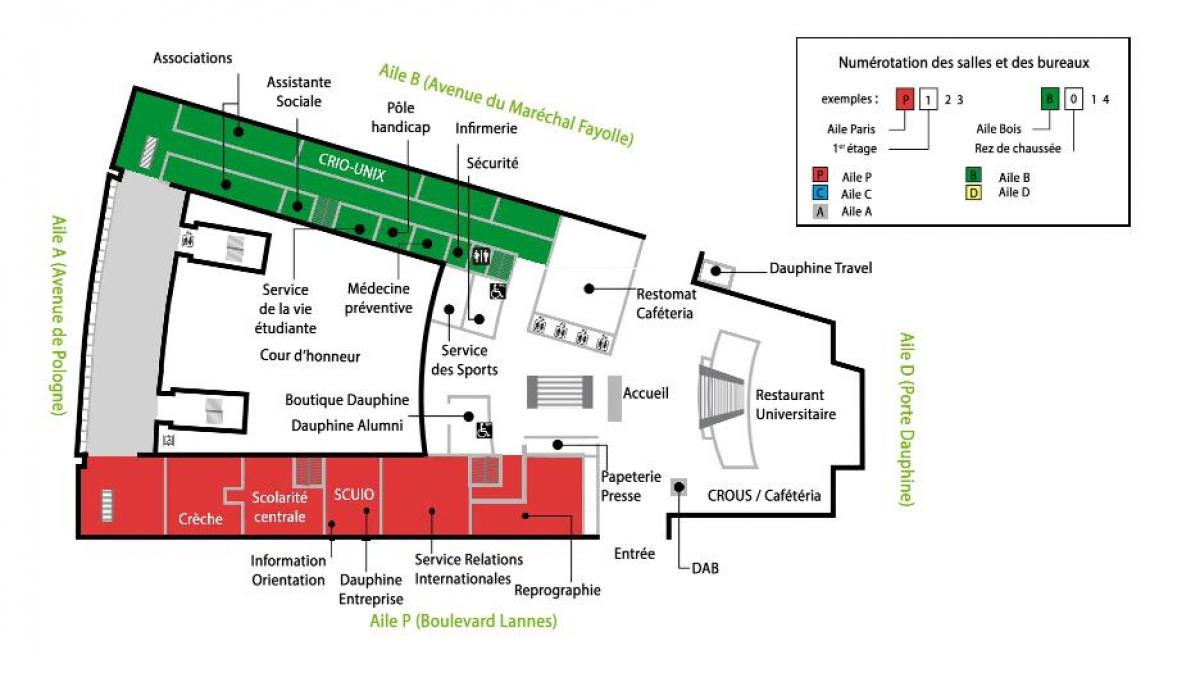 Карта універсітэта Дафін - цокальны паверх